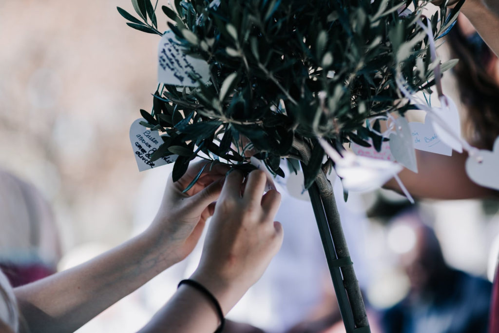 cérémonie laïque en 7 points- rituel de l'olivier-Blog photographe de mariage Delphine Closse